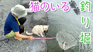 管釣りで釣れない時の攻略方法！これを知ったら激渋でも釣れる！