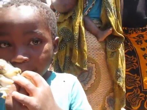 Desenvolvimento Sustentável? - Sanga, Niassa, Moçambique