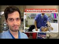 Anesthesiologist reaction to "anesthesia challenge"