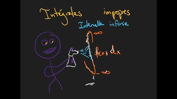 Calcul intégral : 10.1 - Intégrales impropres (intervalle infinie)