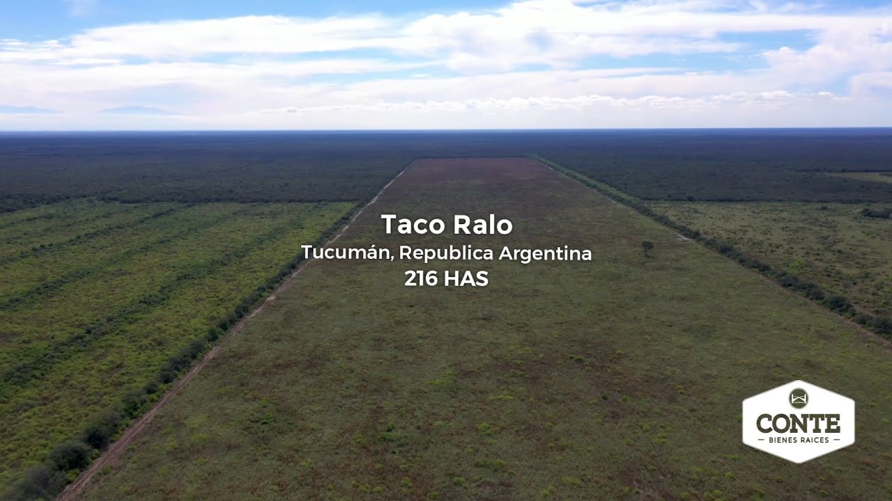 Conte Bienes Raíces - Taco Ralo 216 Has - YouTube