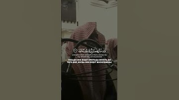 (سورة المؤمنون) القارئ مـحمد اللـحيدان