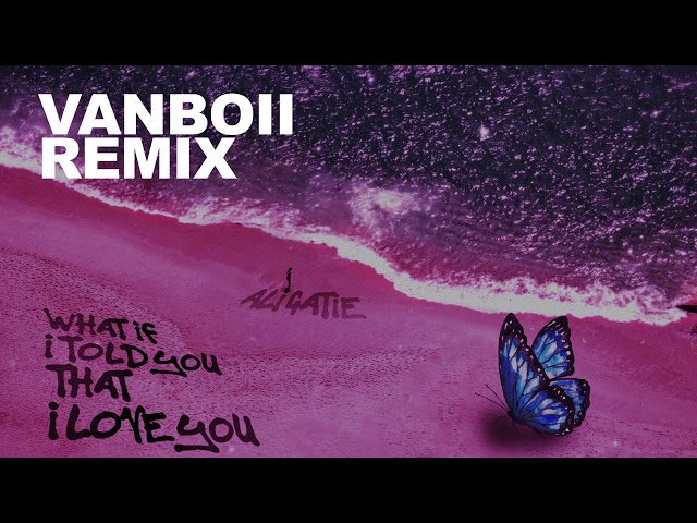 Ali Gatie - What If I Told You That I Love You (Vanboii Remix) class=