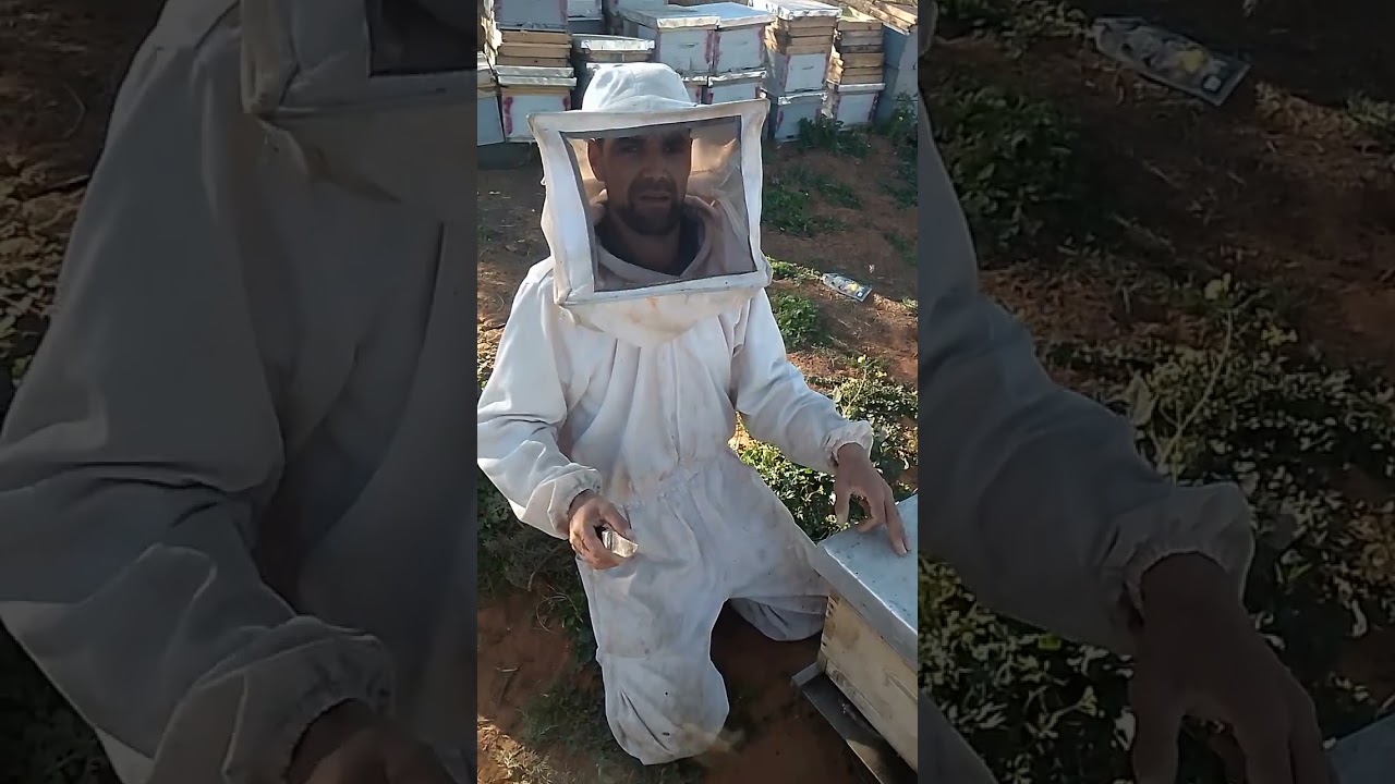 كيفية تطوير الخلايا