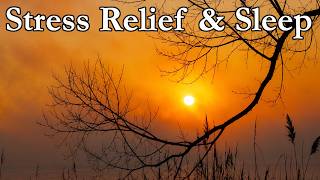 Soft Sleep Music for Deep Sleep | Anxiety Relief & Calm Night Relaxation