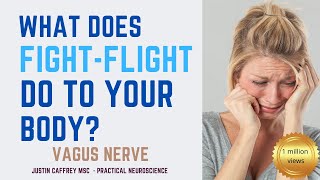 What Does Fight-Flight Stress Do To Your Body?