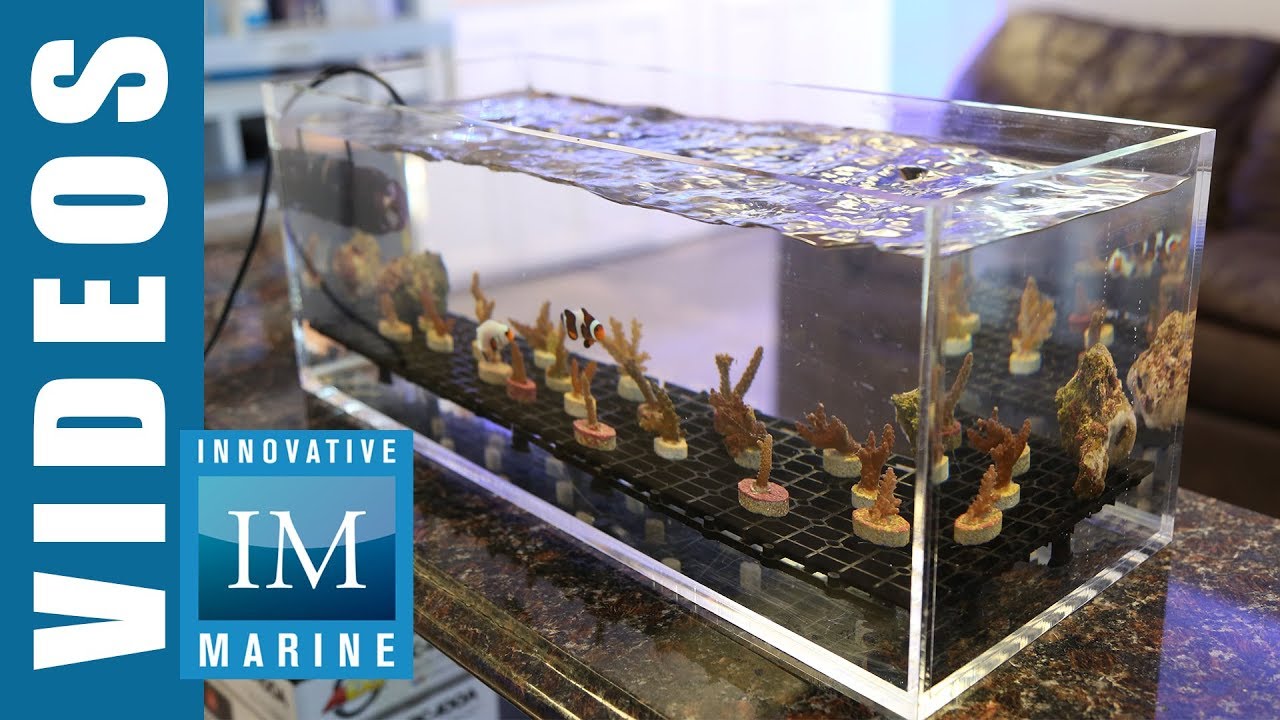 SnappGrid™ Interlocking EggCrate by Innovative Marine YouTube