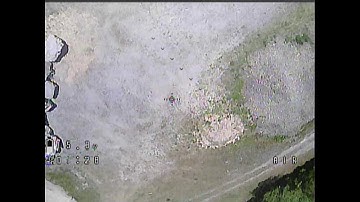 Stingy XHover Clone !!! Maiden Flight !! DVR