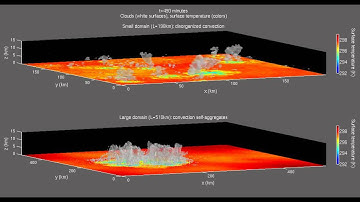 Self-aggregation of convection in cloud resolving simulations