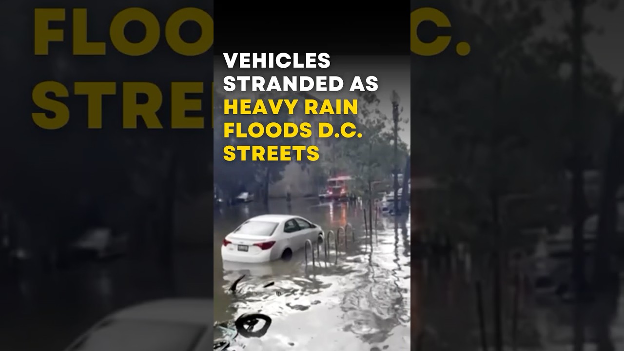 Vehicles Stranded as Heavy Rain Floods D.C. Streets | Factual Flow