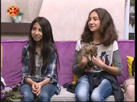 ”იჩუქე ცხოველი” 18 ივნისს ვაკის პარკში საქველმოქმედო აქცია გაიმართება