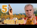 Was macht einen guten yogi eine gute yogini aus  frag den yogi mit sukadev bretz