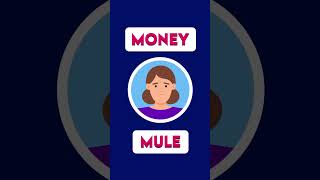 How to spot a money mule scam