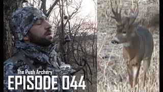 NEVER QUIT  Traditional Bowhunting  NICK WHITE  Episode 044