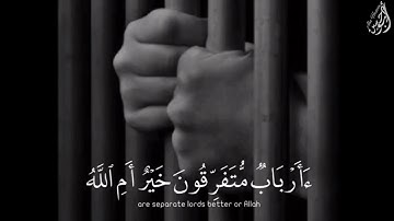 يَا صَاحِبَيِ السِّجْنِ أَأَرْبَابٌ مُّتَفَرِّقُونَ - آيات من - (سورة يوسف) القارئ محمد النقيب
