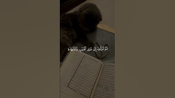 سورة الجمعة ، أحمد العجمي