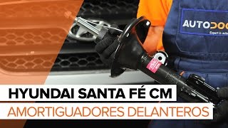 Mantenimiento Hyundai Santa Fe sm - vídeo guía