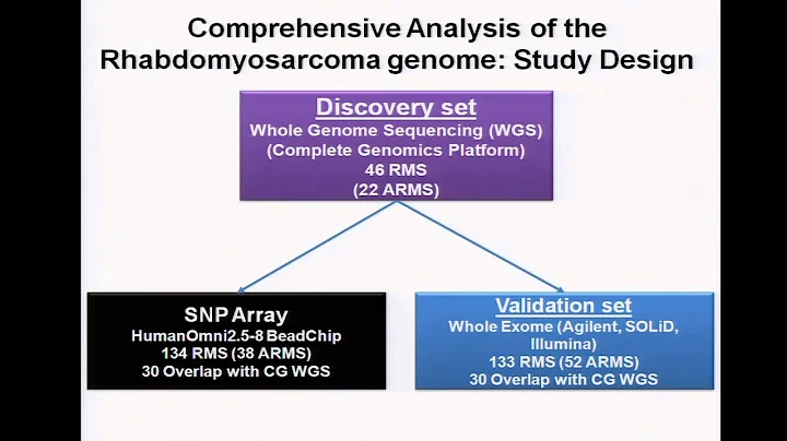 Cancer Genomics and Precision Medicine in the 21st Century - Lee Helman