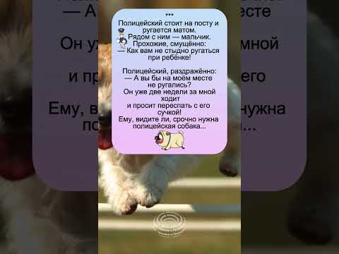 'Полицейский *в шоке*! Ребёнок просит ЭТО?! 😂'
