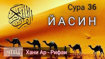 Прекрасное чтение Корана! Сура 36 "Йа Син". Шейх: Хани Ар - Рифаи