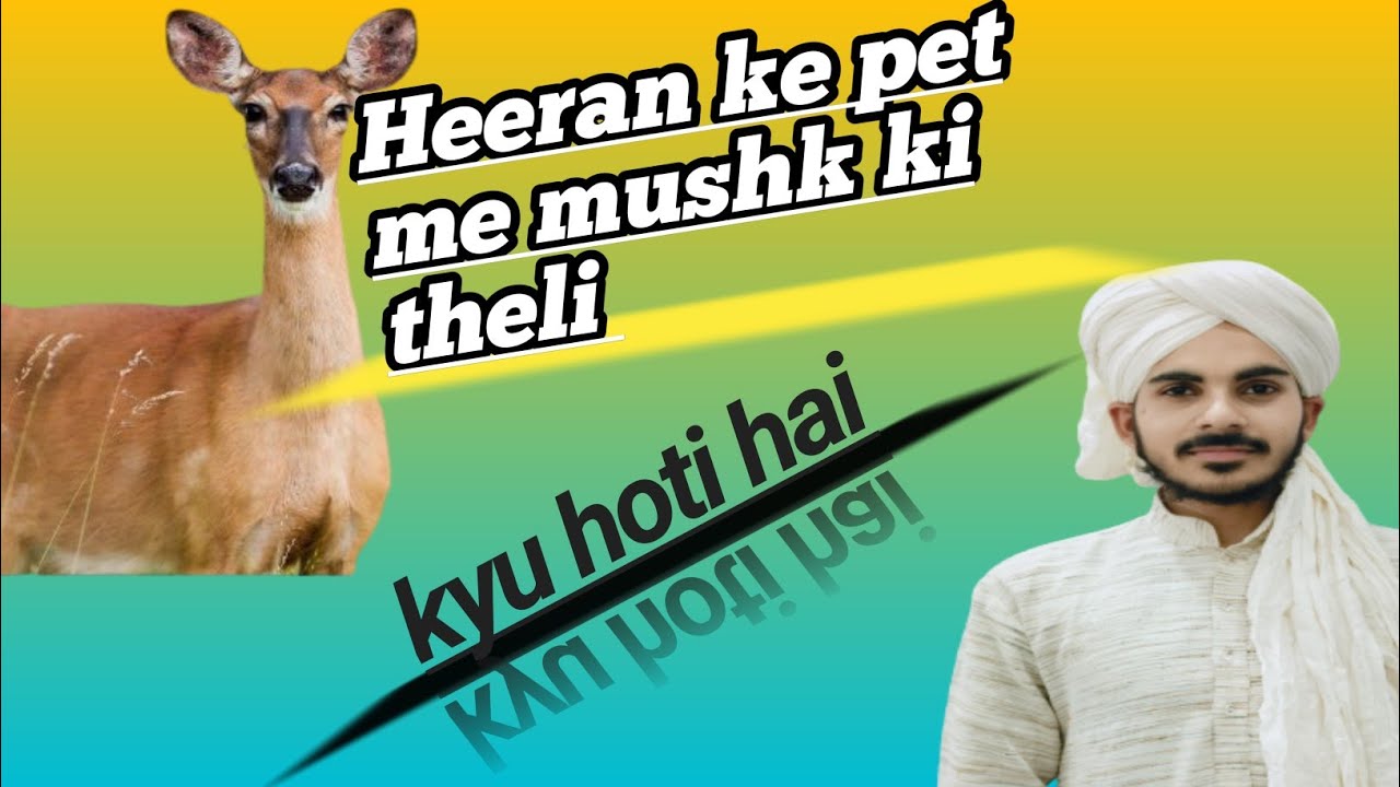 Heeran ke Pet meM Mushk Ki theli Ku Hoti Hai Very Beautiful Bayan ️