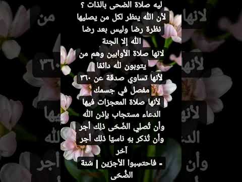 نصيحة لا تفرطون بصلاة الضحى صلاة حالات واتس اكسبلور