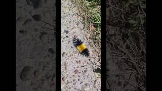 Мои Знакомые В