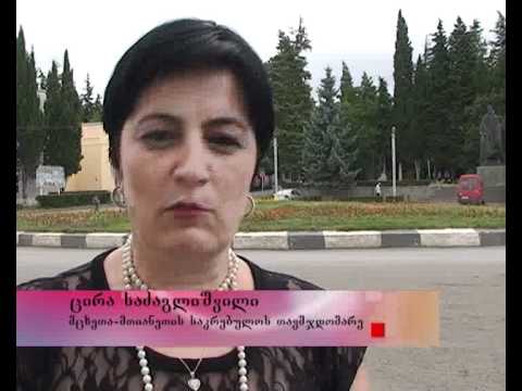 შეხვედრა დუშეთის საკრებულოში