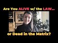 How to be alive  free in this matrix with natural law