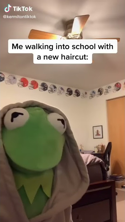 Kermit The Frog (Featuring I Like Ya Cut G)