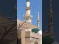 Jaan Hazir Hai Mustafa ﷺ Ke Liye ❤️ | #shortsfeed#love