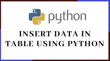 How to insert data in the table using python
