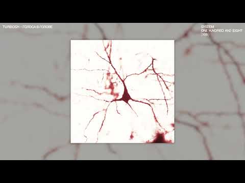 Turbosh - Голоса в голове