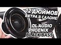 Обзор и флекс от DL Audio Phoenix Black Bass 12
