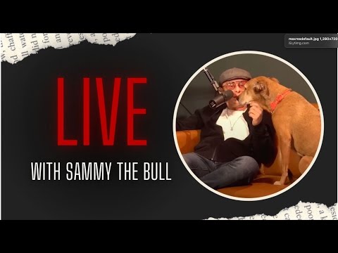 🔴 LIVE 🔴 Stories from #SammyTheBull 