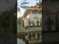 Amazing View😍🌿💚#viral #shortvideos #youtubeshorts #reels #shorts #assam #trending #view #viewers