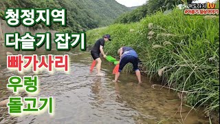 다슬기잡다가 이게 왠일!!빠가사리와 돌고기 우렁