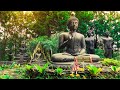 Buddhas flute awakening 2  music for meditation  zen