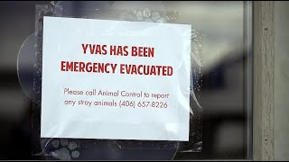 FBI Meth Incineration Sickens 14 at Yellowstone Valley Shelter: Health Risks and Outrage