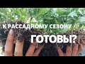 Нет рассады-нет проблем.Оказался не готов к сезону,но...