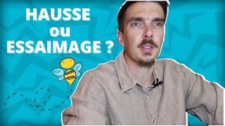 La hausse : Solution utime contre l'essaimage? (et moultes autres digressions...)