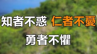 Video thumbnail of "中年人最好的修养：知者不惑，仁者不忧，勇者不惧，做到一个就很了不起！"