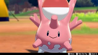 Corsola In Camp - Pokemon Sword \& Shield