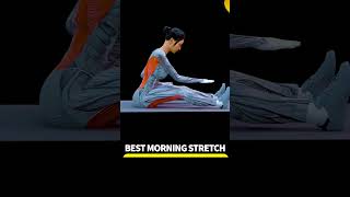 Burn Fat  | Best Morning Stretching Exercises  #workout4d