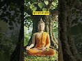 #Buddha #buddhist #Motivation #buddhism #buddhaquotes #AIVideo #Facts #Education #Mindset #Shorts