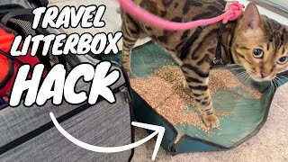 This Travel Litterbox Saved the Day on our Last Plane Trip by Albert & Mia, the Adventure Bengal Cat 2,464 views 10 days ago 50 seconds