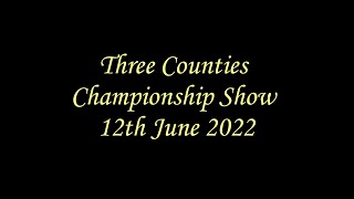 Three Counties Championship Show June 2022 by Irish Setters UK & Ireland 307 views 1 year ago 8 minutes