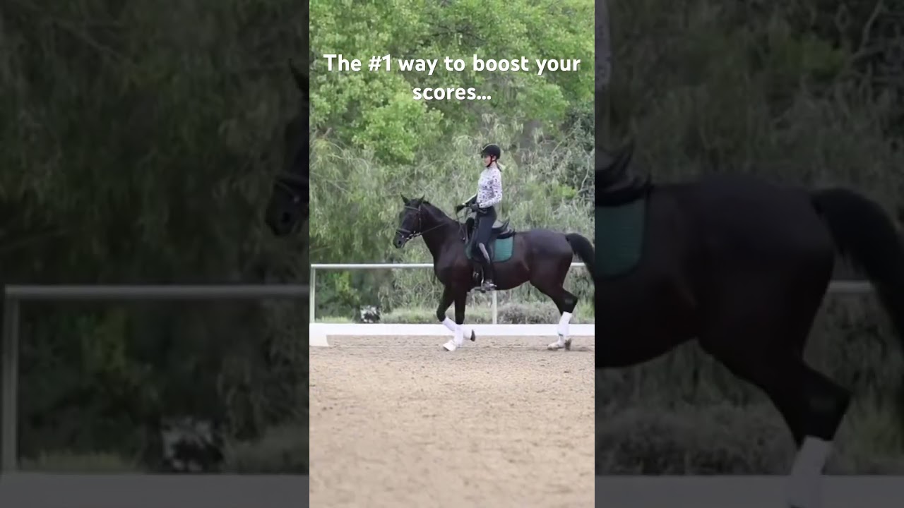 Dressage is all about the basics 