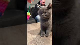 Watch Me Grow Up In 2022