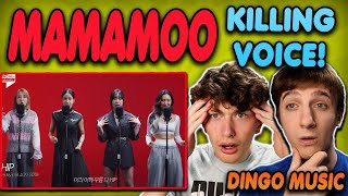 Mamamoo on Dingo Music - Killing Voice Live REACTION!!